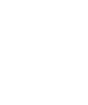 Partner 11